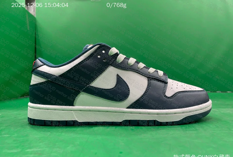 Nike dunk low 5