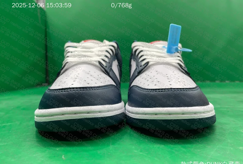 Nike dunk low 8