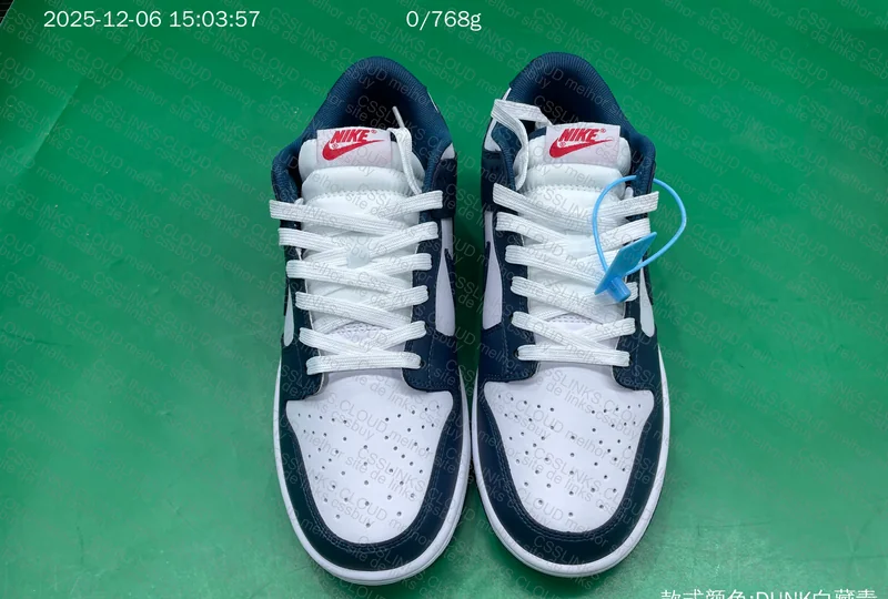 Nike dunk low 9
