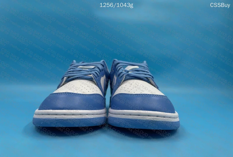Nike Dunk Low Blue 3