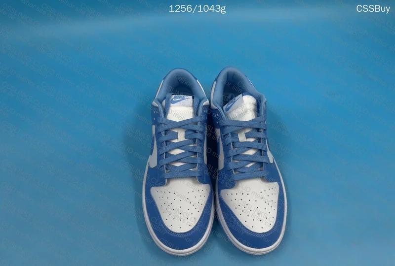 Nike Dunk Low Blue 4