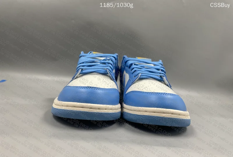 nike dunk low blue 2