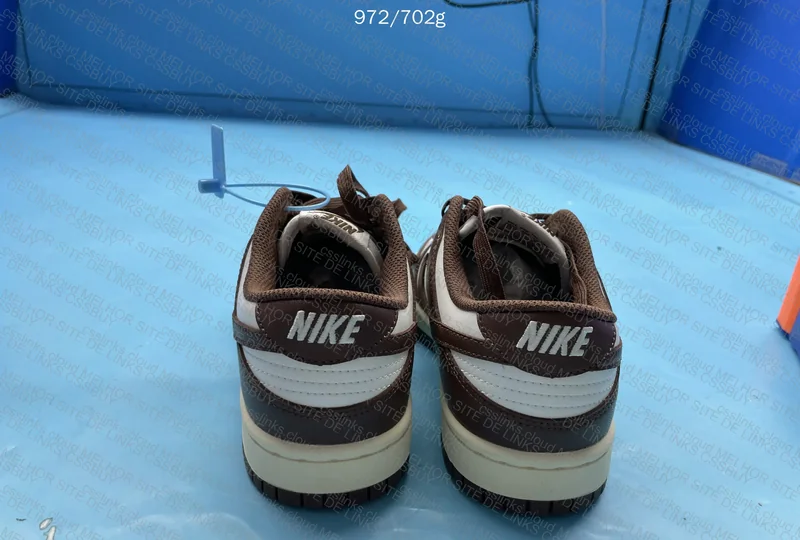 Nike Dunk Low Cacao New Vt. GL??? 4