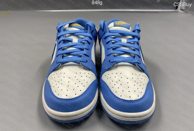 Nike dunk low coast