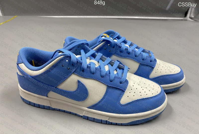 Nike dunk low coast 2