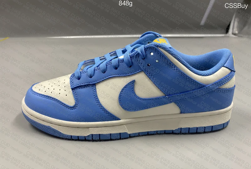 Nike dunk low coast 3