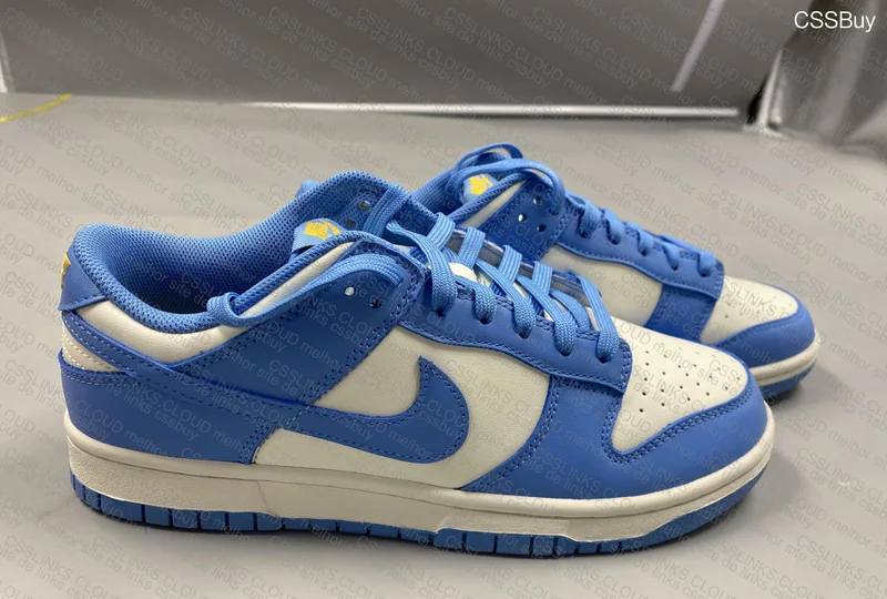 Nike dunk low coast
