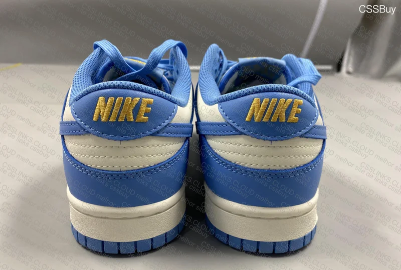 Nike dunk low coast 3