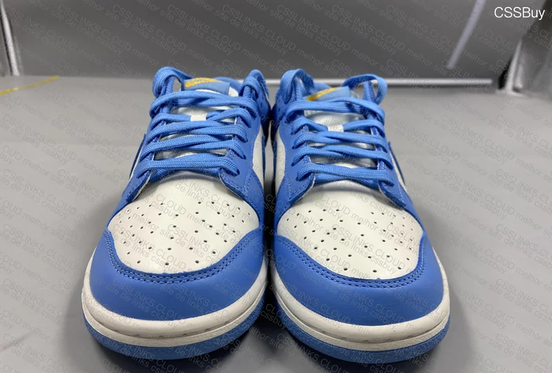 Nike dunk low coast 4