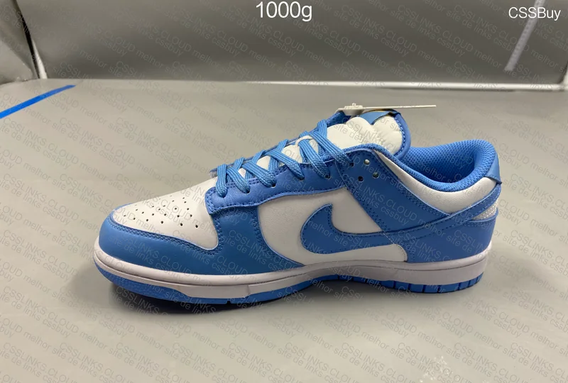 Nike Dunk Low 'Coast' 2