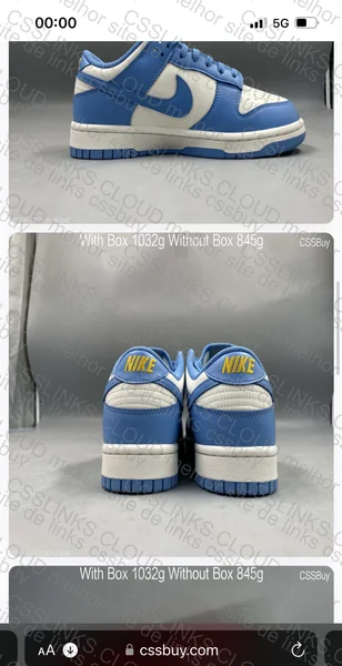 Nike dunk low coast