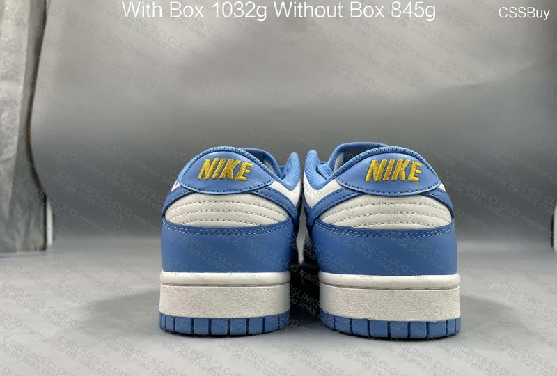 Nike dunk low coast 5
