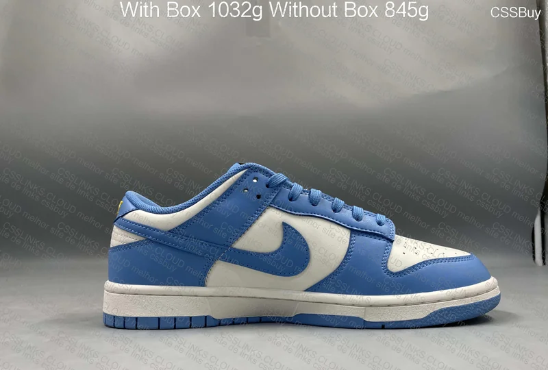 Nike dunk low coast 6