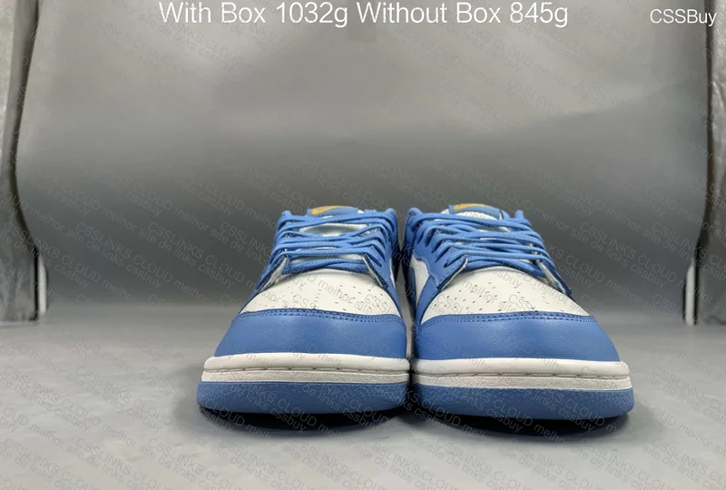 Nike dunk low coast 7