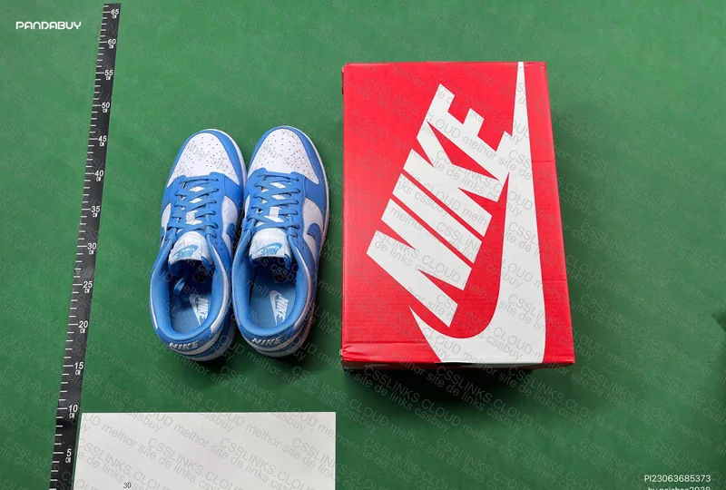 Nike Dunk Low coast