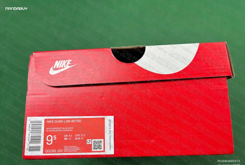 Nike Dunk Low coast 2