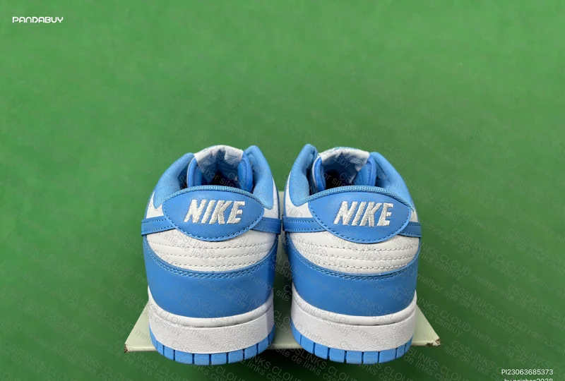 Nike Dunk Low coast 3