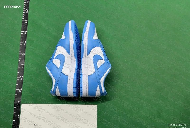 Nike Dunk Low coast 4
