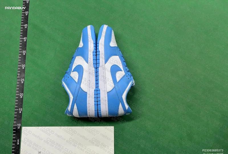 Nike Dunk Low coast 5