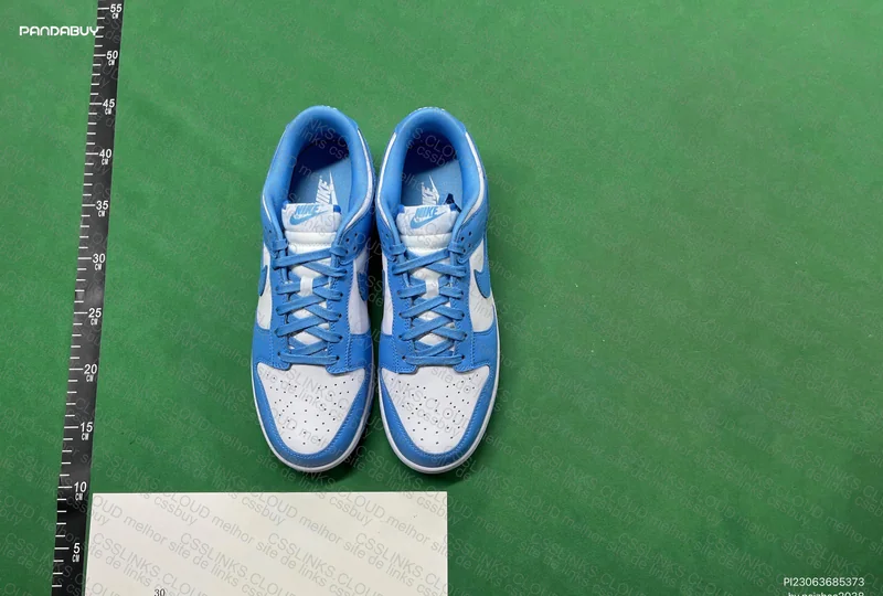 Nike Dunk Low coast 6