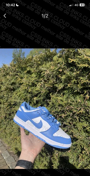 Nike Dunk Low coast 7