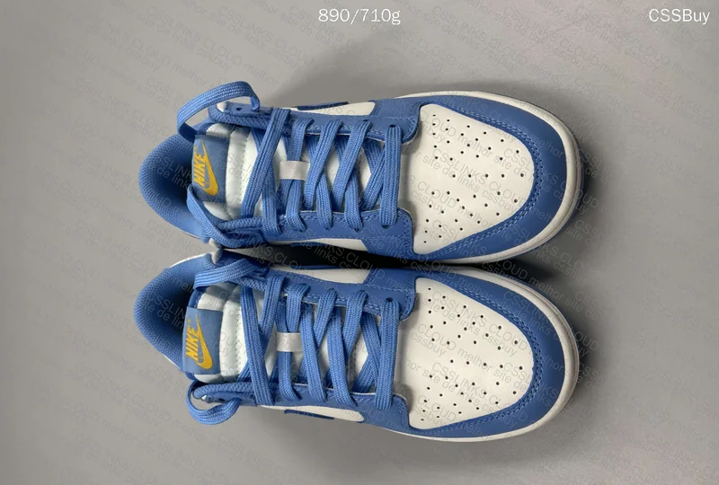 Nike Dunk Low Coast 2