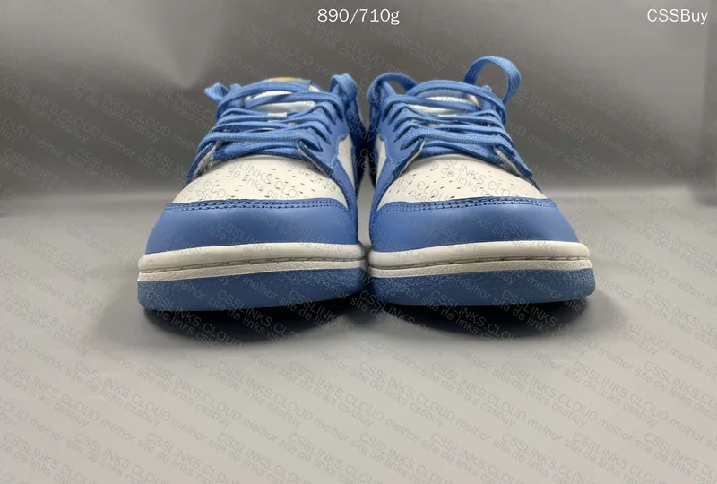 Nike Dunk Low Coast 3