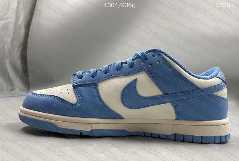 Nike Dunk low coast 3