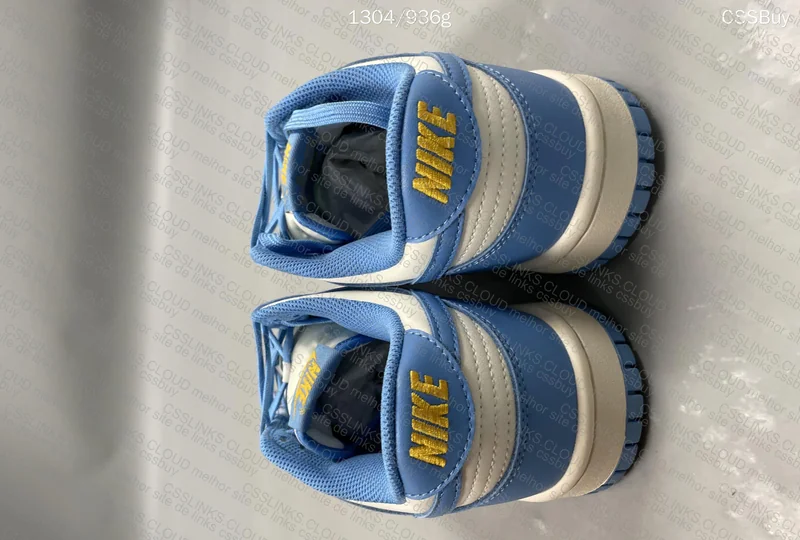 Nike Dunk low coast 4