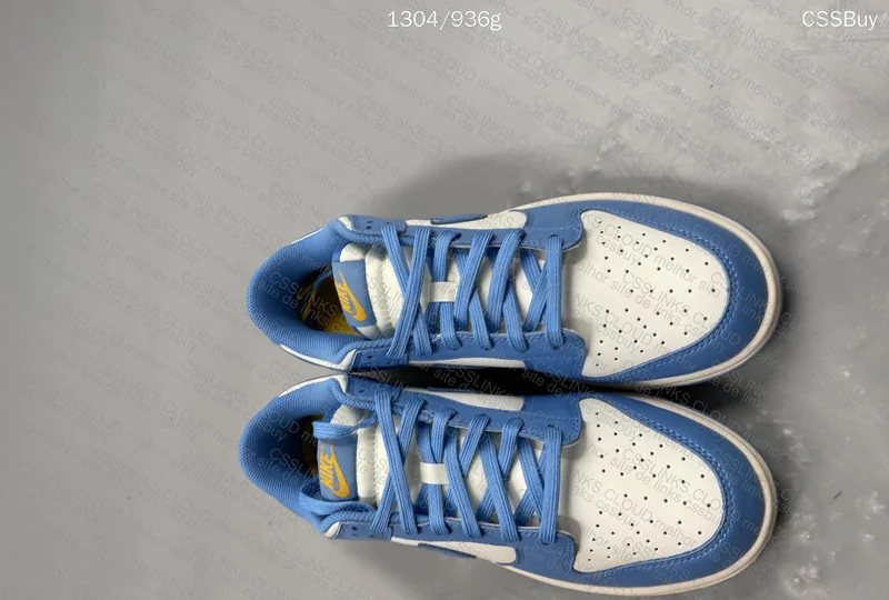 Nike Dunk low coast 5