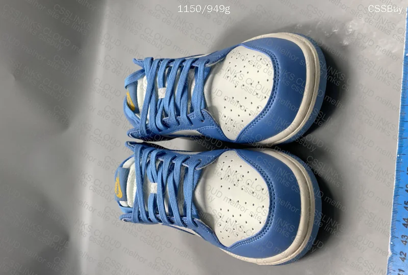 Nike Dunk Low Coast 2