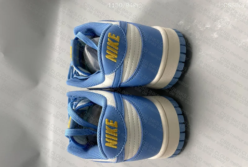 Nike Dunk Low Coast 3