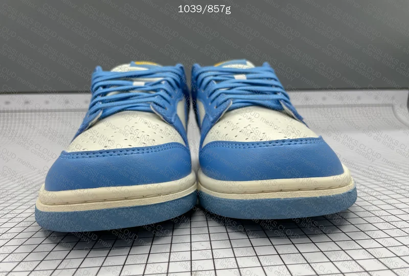 Nike Dunk Low Coast