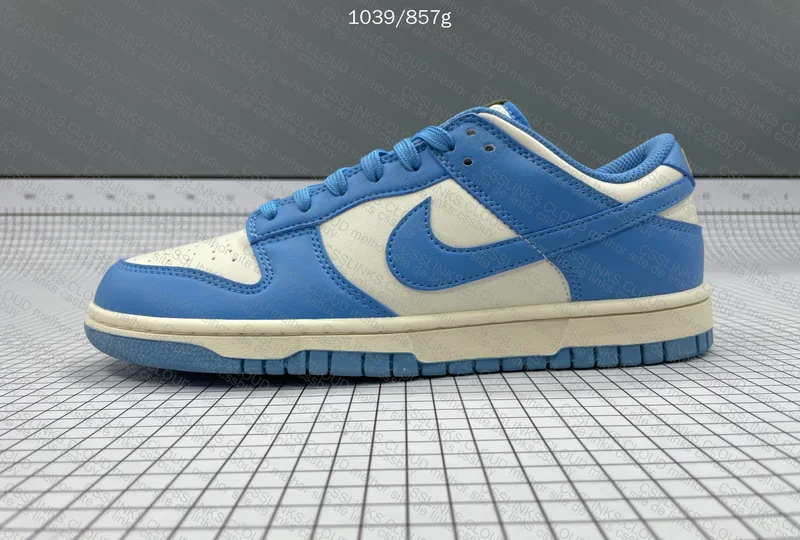 Nike Dunk Low Coast 2