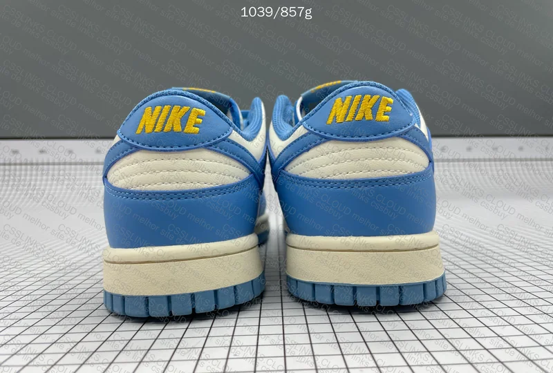 Nike Dunk Low Coast 3