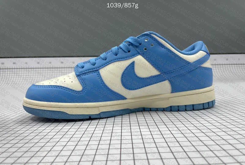 Nike Dunk Low Coast 4