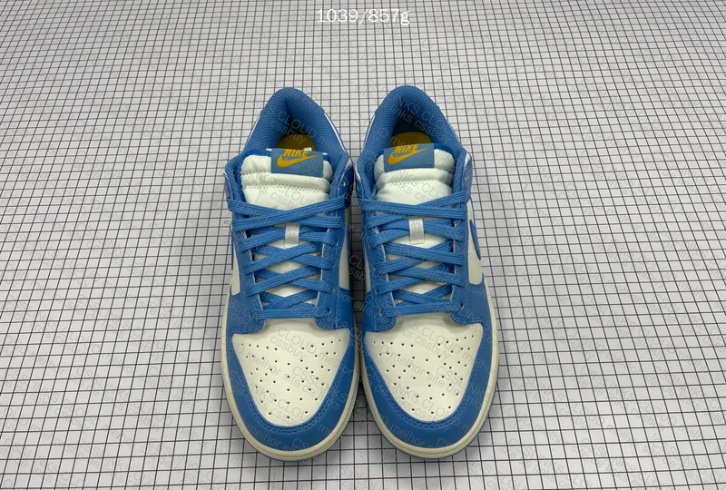 Nike Dunk Low Coast 5