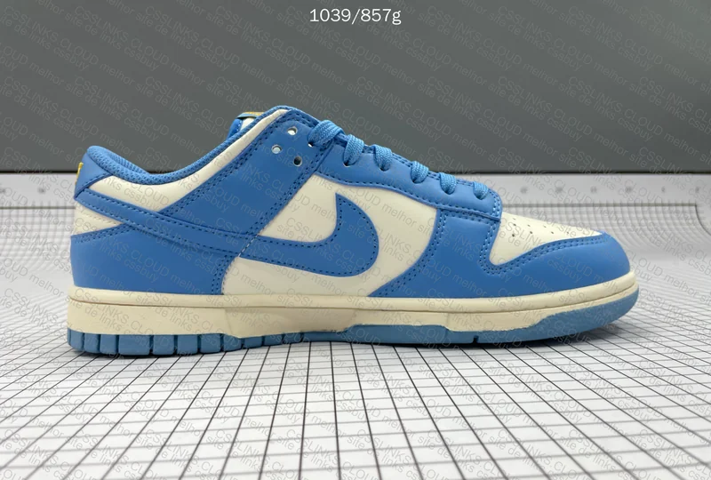 Nike Dunk Low Coast 6