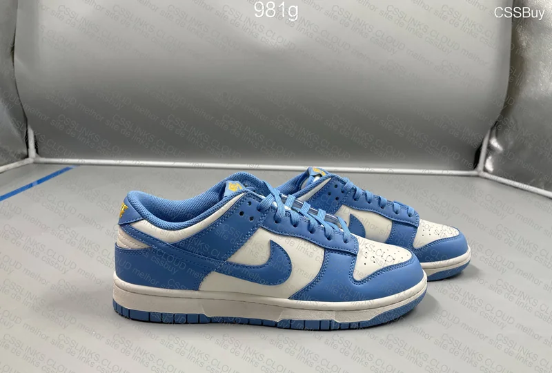 Nike Dunk Low Coast Blue 2