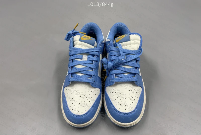 Nike Dunk Low Coast Women's