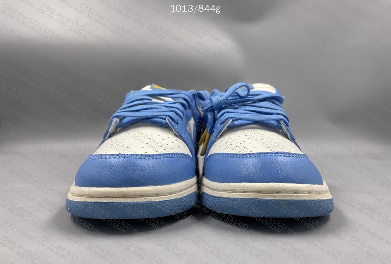 Nike Dunk Low Coast Women's 2