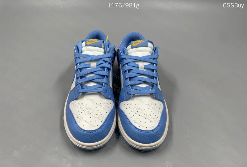 Nike Dunk Low Coast VT 2