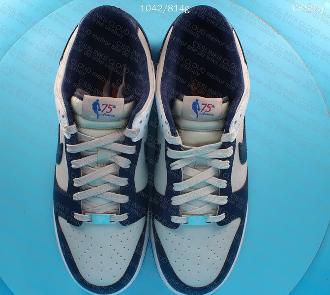 Nike Dunk Low EMB NBA 75th Anniversary Brooklyn Nets