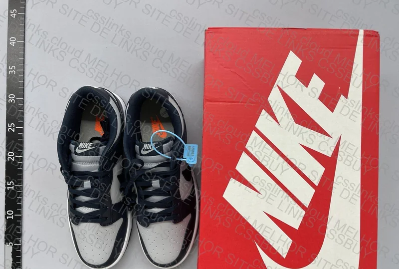 nike Dunk low geogetown