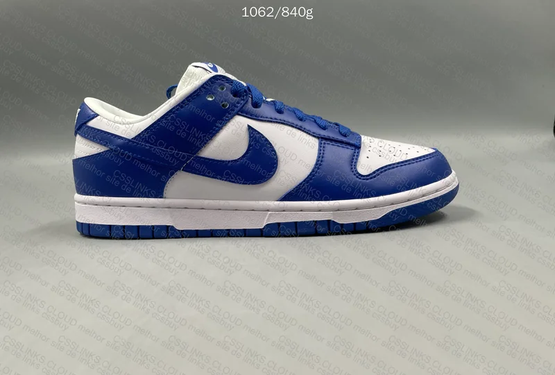 Nike Dunk Low (GL?) 3