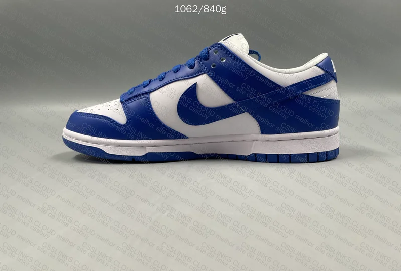 Nike Dunk Low (GL?) 4