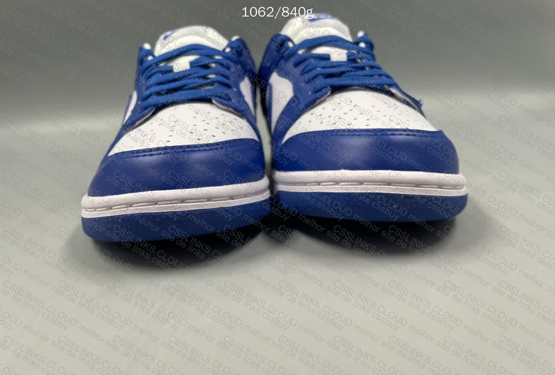 Nike Dunk Low (GL?) 5