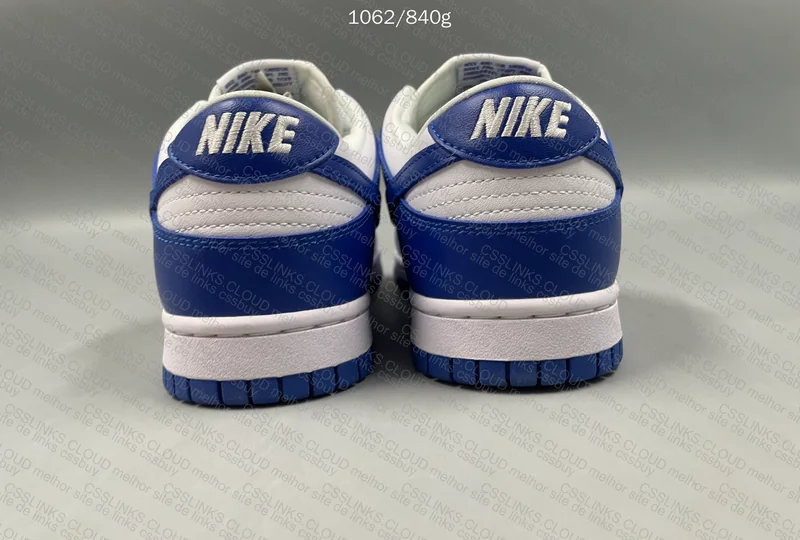 Nike Dunk Low (GL?) 6