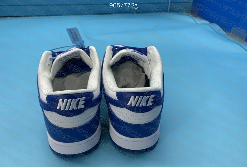 Nike Dunk Low Kentucky 2