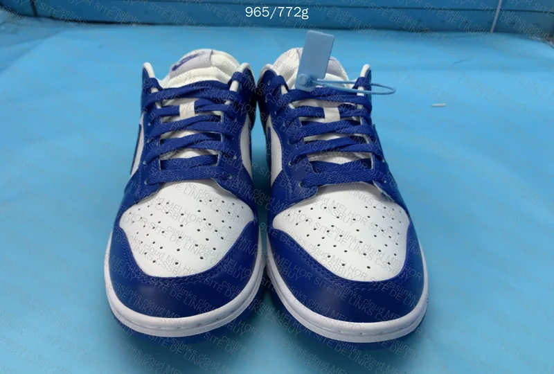 Nike Dunk Low Kentucky 3